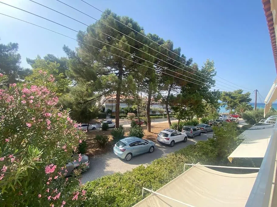 Anastasia'S Seaview Apartment Hanioti Greece